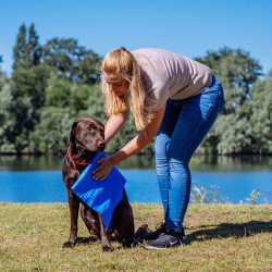 Nobby geltonas rankšluostis augintiniui su dėklu, 66x43 cm