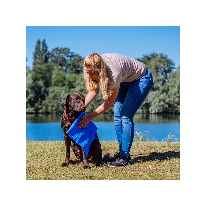 Nobby geltonas rankšluostis augintiniui su dėklu, 66x43 cm