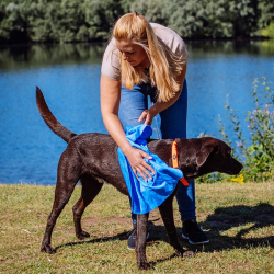 Nobby geltonas rankšluostis augintiniui su dėklu, 66x43 cm