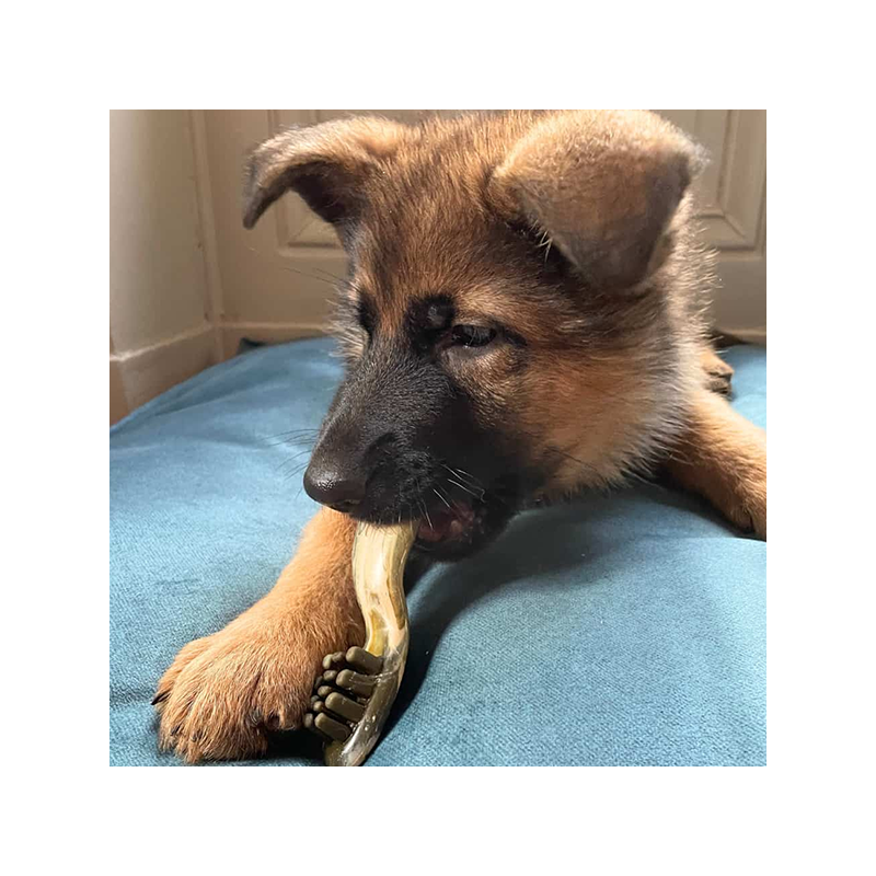 Bogar Dental skanėstas nuo apnašų vidutinio dydžio veislių šunims, 110 g