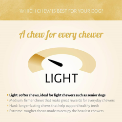 Antos Ice Lollies ledai šunims, 1 vnt.