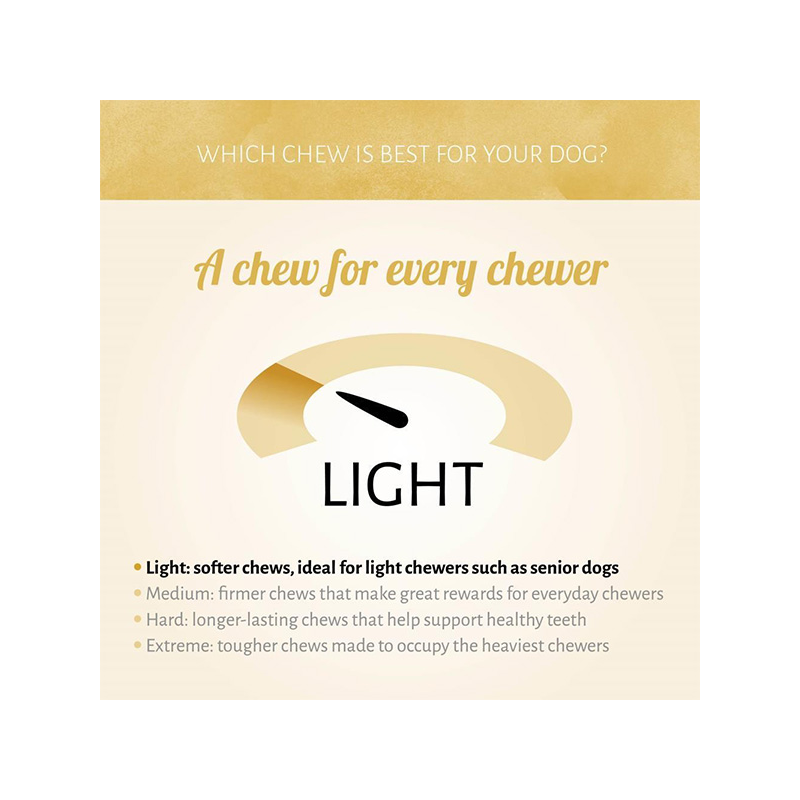 Antos Ice Lollies ledai šunims, 1 vnt.