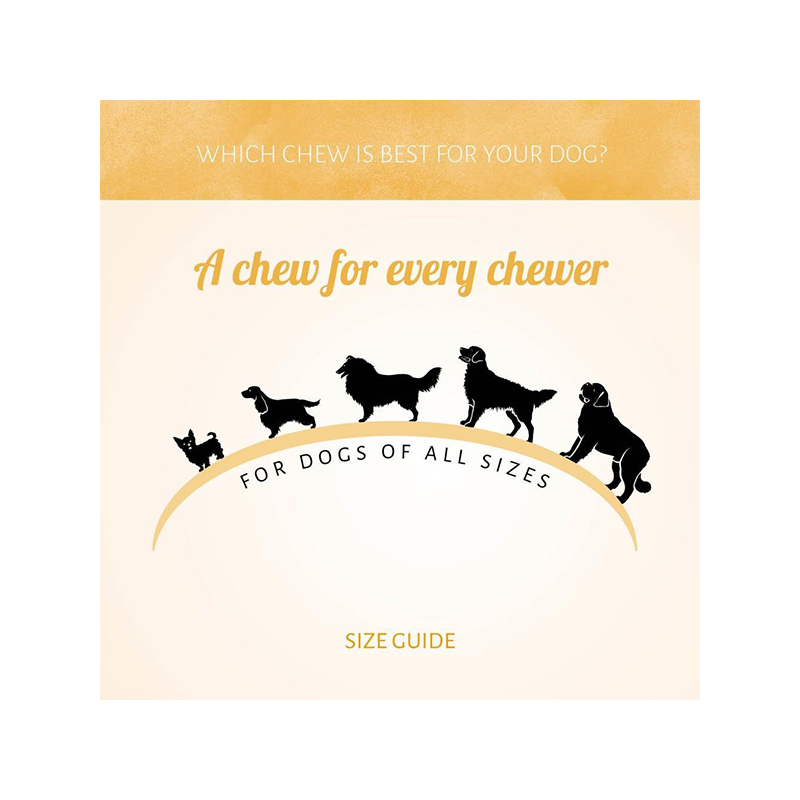 Antos Wild šaltyje džiovinti antienos skanėstai šunims, 85 g