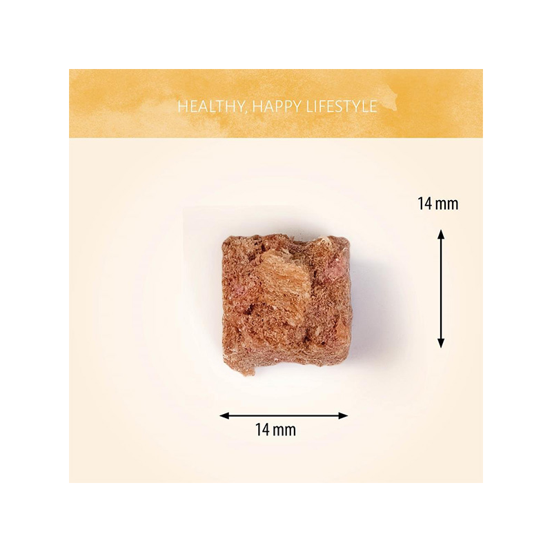 Antos Wild šaltyje džiovinti arklienos skanėstai šunims, 90 g