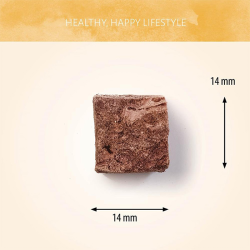 Antos Wild šaltyje džiovinti jaučio plaučių skanėstai šunims, 80 g