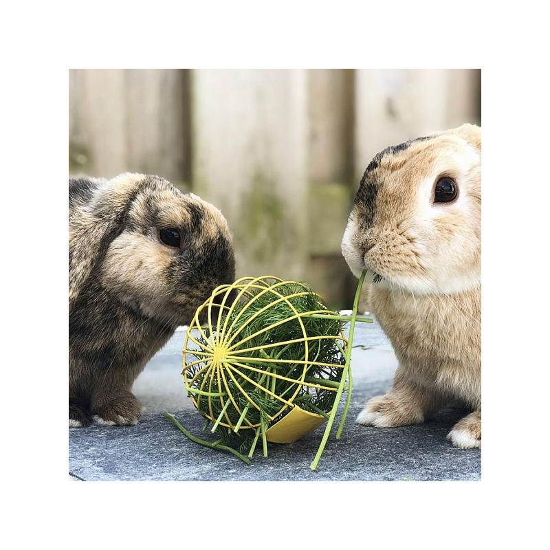 Nobby maisto kamuoliukas žaislas triušiams, 10 cm