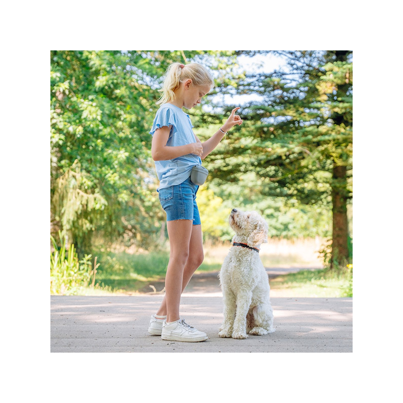 Nobby pilkas, silikoninis skanėstų dėklas, 12,5x4x10,5 cm