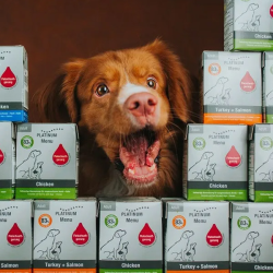 Platinum paštetas šunims su kalakutiena ir lašiša, 375 g