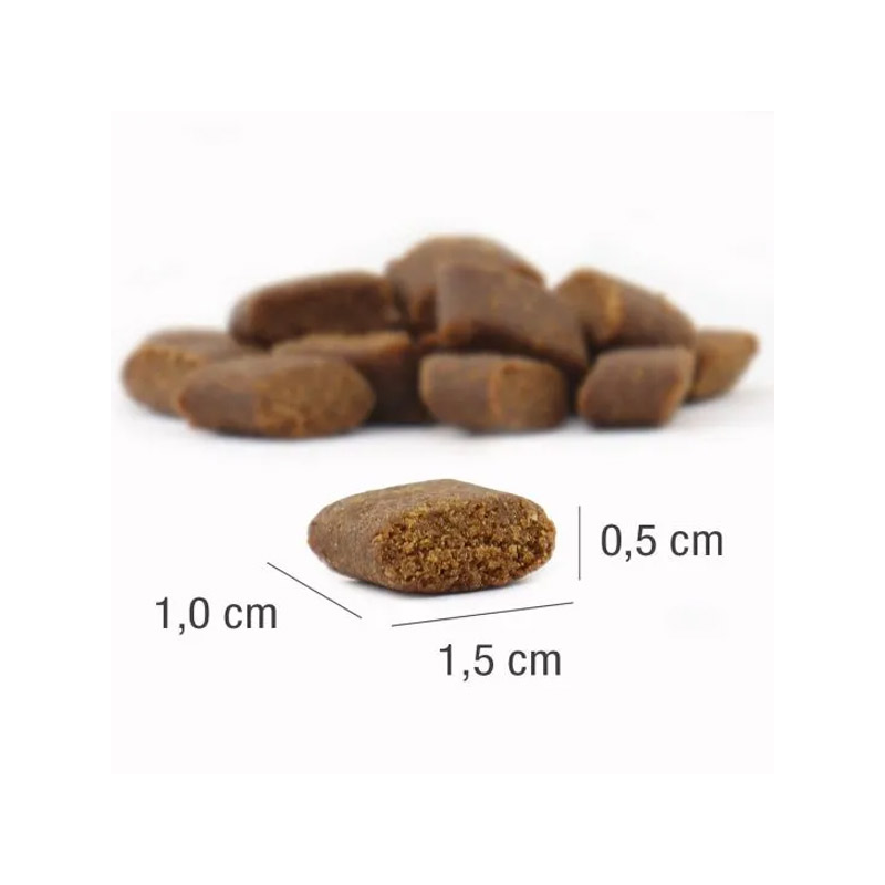 Platinum Adult sausas šunų maistas su Iberijos kiauliena, 1,5 kg