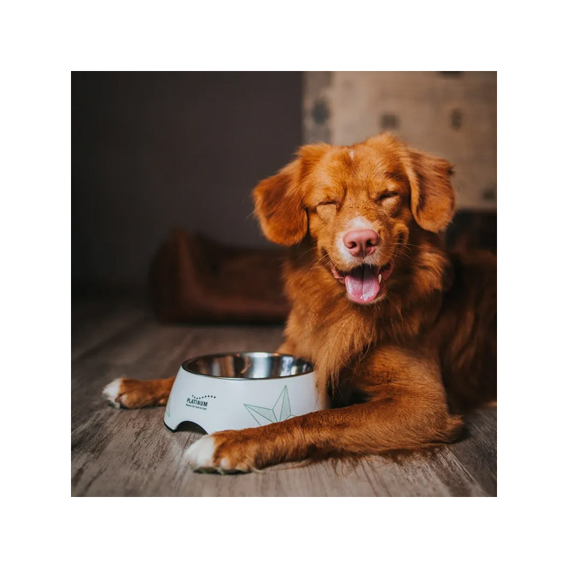 Platinum Vetactive Hypoallergenic sausas šunų maistas su Iberijos kiauliena, 5 kg