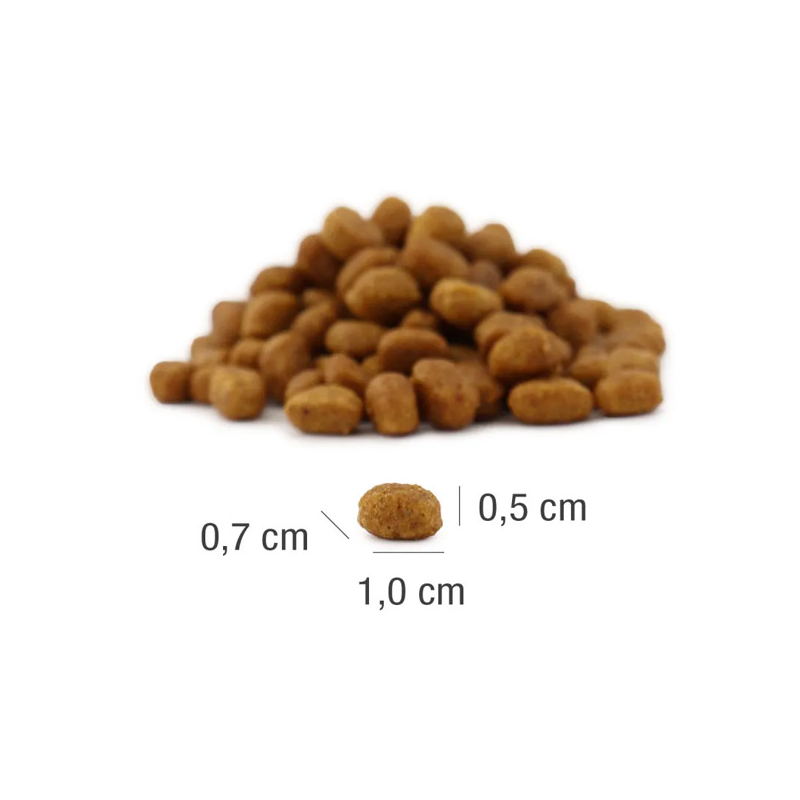 Platinum MeatCrisp Adult sausas maistas katėms su žuvimi, 3 kg