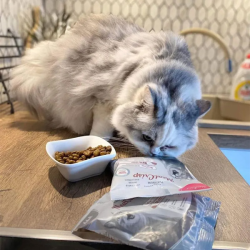 Platinum MeatCrisp Adult sausas maistas katėms su žuvimi, 1,5 kg