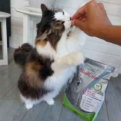 Platinum MeatCrisp sausas maistas sterilizuotoms katėms su vištiena, 3 kg