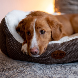Nobby Alba rudas guolis šunims ir katėms, 45x40x19 cm