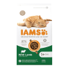 IAMS sausas maistas katėms su ėriena, 1,5 kg