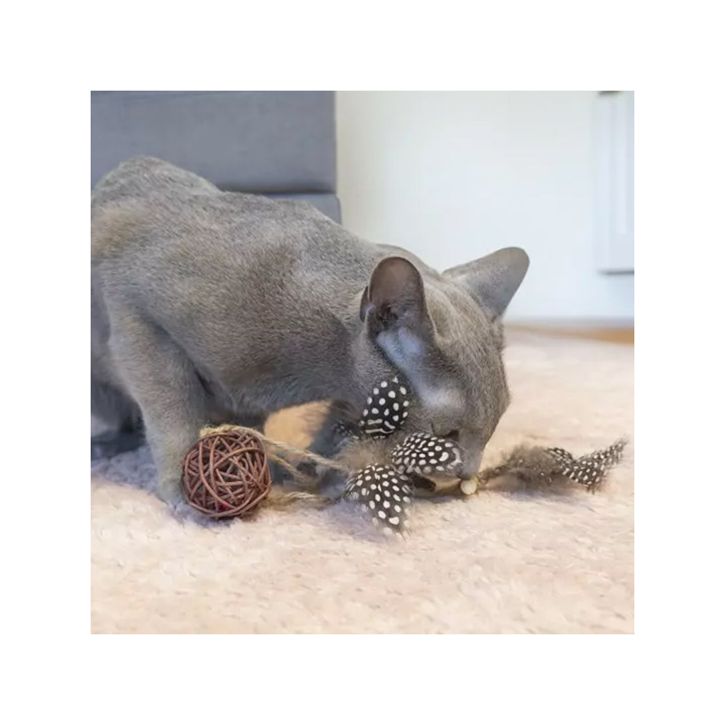 Hap trys kamuoliukai katėms, 31 cm