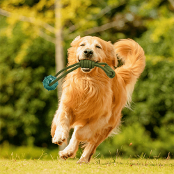 Nobleza virvė su kamuoliuku žaislas šunims, 33 cm
