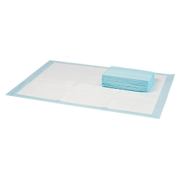 Expertus vienkartinės palutės šunims, 60x90 cm, 10 vnt.