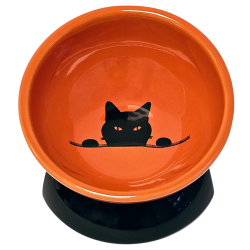 Nobby Wilson paaukštintas keraminis dubenėlis katėms, 250 ml