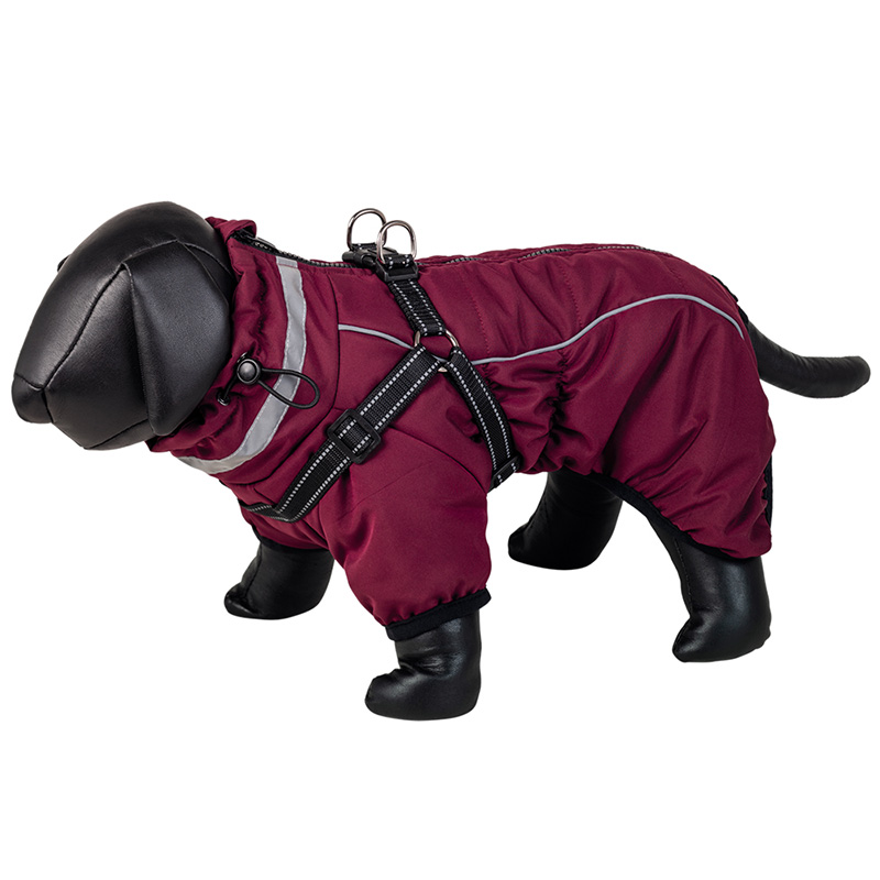 Nobby Elor 2in1 bordo striukė šuniui, 48 cm