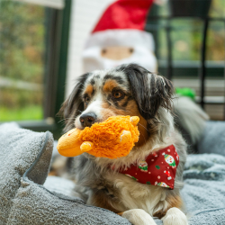 Nobby kalėdinis pliušinis žaislas šunims, 1 vnt.