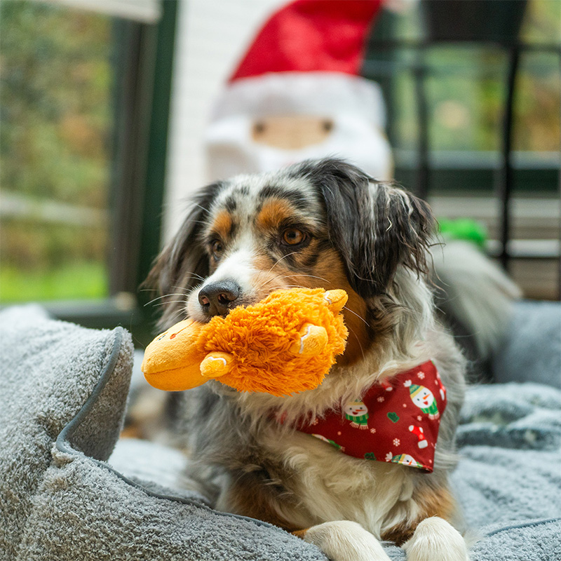 Nobby kalėdinis pliušinis žaislas šunims, 1 vnt.