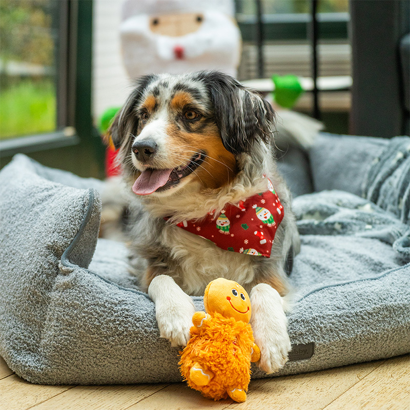 Nobby kalėdinis pliušinis žaislas šunims, 1 vnt.