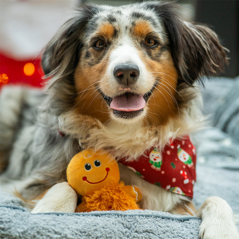 Nobby kalėdinis pliušinis žaislas šunims, 1 vnt.
