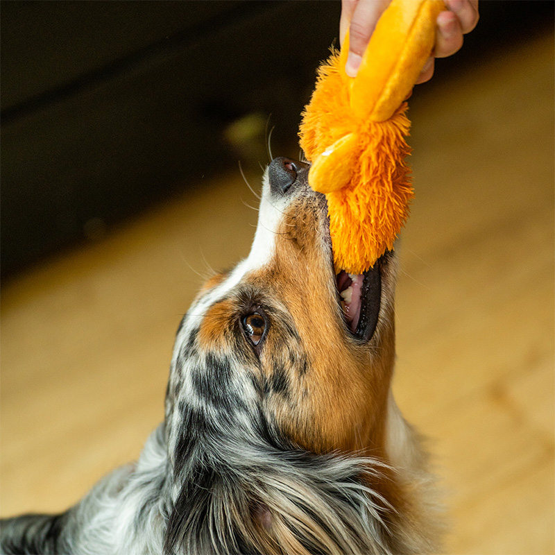 Nobby pliušinis žaislas šunims, 1 vnt.