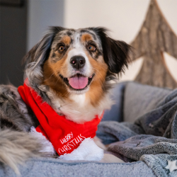 Nobby kalėdinis šalikas augintiniams, M, 70x7 cm