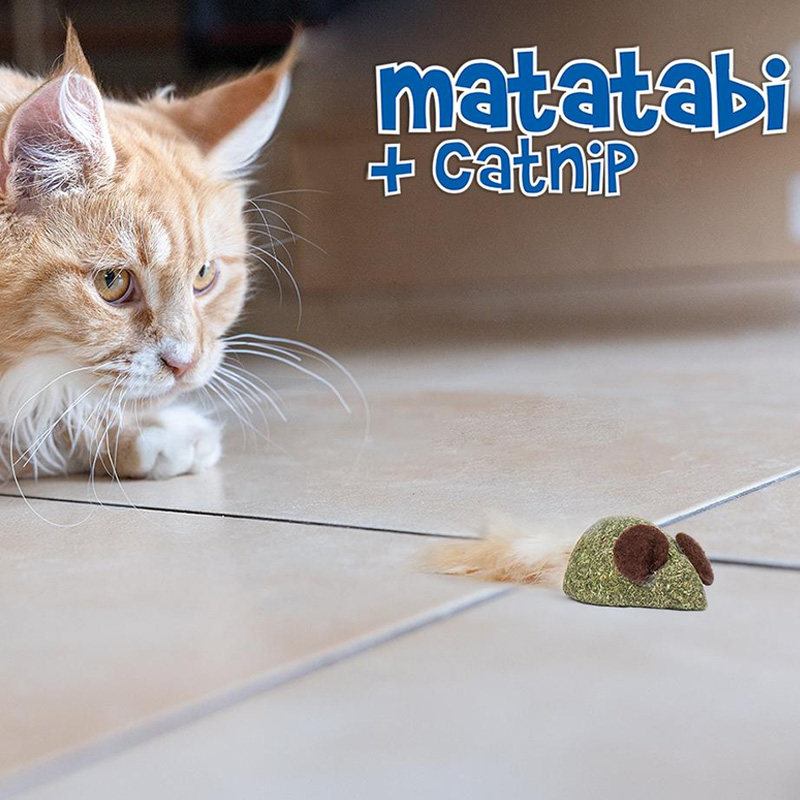 Happet katžolės pelės su plunksnomis katėms