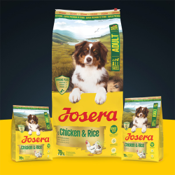 Josera A/S Chicken&Rice sausas maistas šunims, 12,5 kg