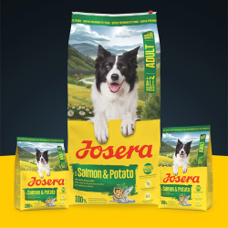 Josera All Size Salmon&Potato sausas maistas šunims, 12,5 kg