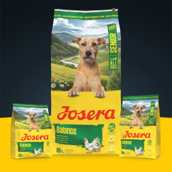 Josera Balance sausas maistas šunims, 12,5 kg