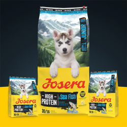 Josera Junior High Protein Sea Fish sausas maistas šunims, 900 g