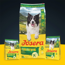Josera Hypoallergenic sausas maistas šunims, 900 g