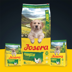 Josera YoungStar sausas maistas šunims, 900 g