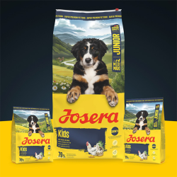 Josera Kids sausas sausas maistas šunims, 900 g