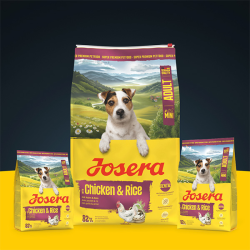 Josera Mini Chicken&Rice sausas maistas šunims, 900 g