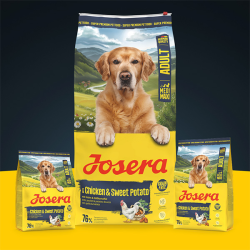 Josera Medi/Maxi Chicken&Sweet Potato sausas maistas šunims, 12,5 kg