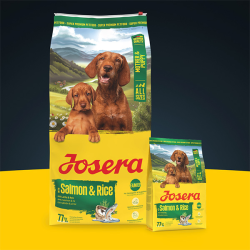Josera Mother&Puppy Salmon&Rice sausas maistas šunims, 12,5 kg