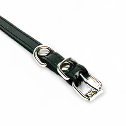 Fleksas juodas, odinis antkaklis mažų veislių šunims, 30 cm
