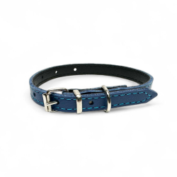 Fleksas mėlynas, odinis antkaklis mažų veislių šunims, 30 cm