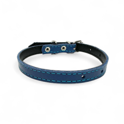 Fleksas mėlynas, odinis antkaklis mažų veislių šunims, 30 cm