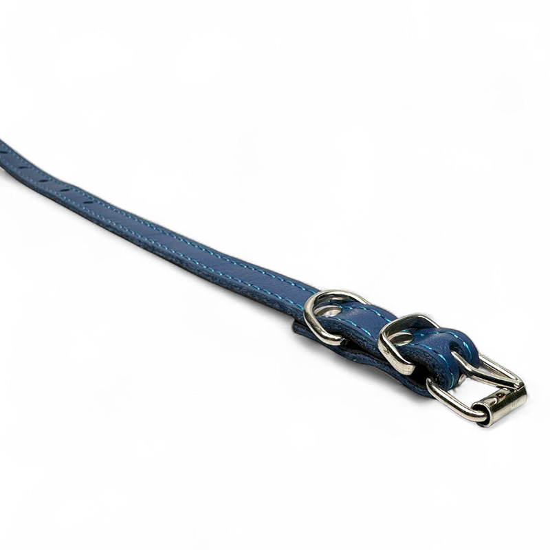 Fleksas mėlynas, odinis antkaklis mažų veislių šunims, 30 cm