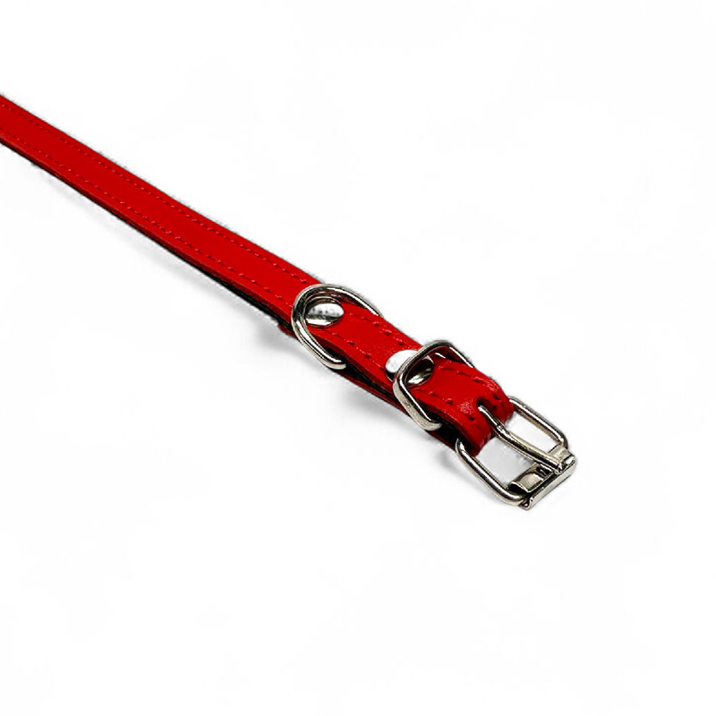Fleksas raudonas, odinis antkaklis mažų veislių šunims, 30 cm