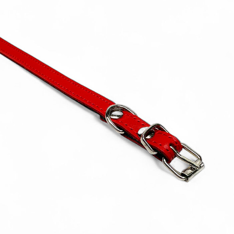 Fleksas raudonas, odinis antkaklis mažų veislių šunims, 30 cm