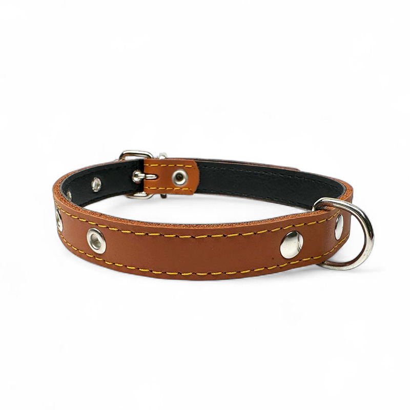Fleksas rudas, odinis antkaklis su pusžiedžiu šunims, 40 cm