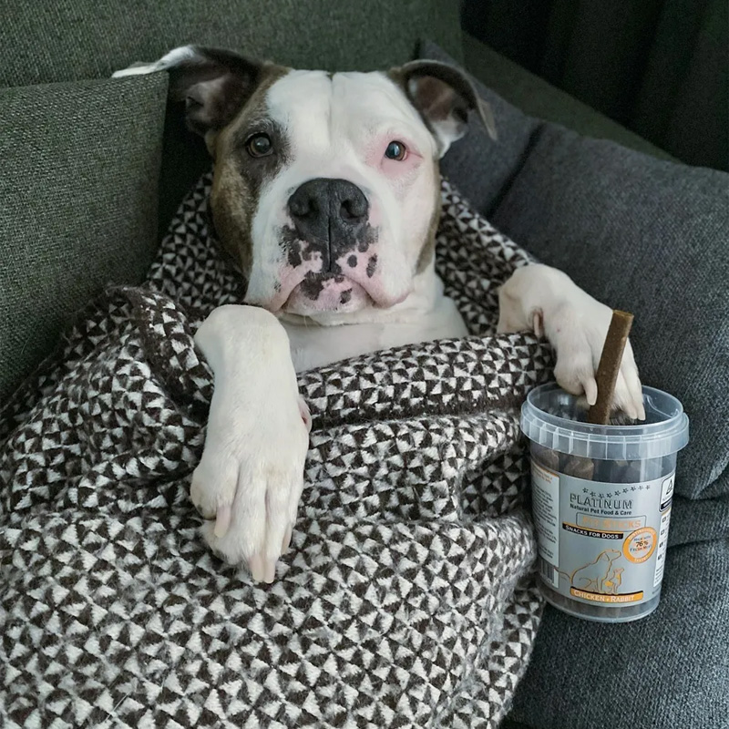 Platinum Fit-Sticks lazdelės su vištiena ir triušiena skanėstai šunims, 300 g