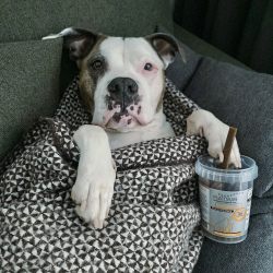 Platinum Fit-Sticks lazdelės su vištiena ir ėriena šunims, 300 g